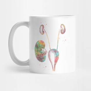 Urinary system Mug